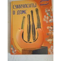 Суккуленты в доме