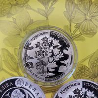 Зверобой четырехкрылый 1 рубль 2013 год Святаяннік чатырохкрылы
