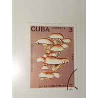 Куба 1989 Pleurotus floridanus (Флоридская вешенка)