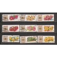 ФФ2 Фуджейра 1969 Цветы гаш