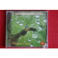 Музыка Дождя - Музыка В Гармонии С Природой (2005, CD)