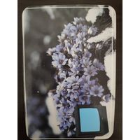 Календарик Витязь