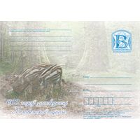 Беларусь 2009 ПК 600 лет заповедности Беловежской пущи Кабанчики (к5)