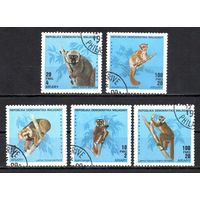 Лемуры Мадагаскар 1990 год серия из 5 марок