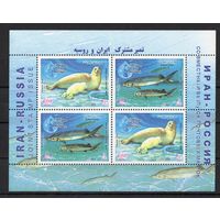 Иран 2003. Фауна Каспийского моря. Совместный выпуск Россия-Иран блок (2926)