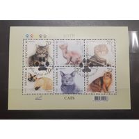 Украина. 2007 год. Фауна. Кошки. Блок (738)