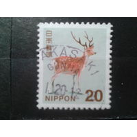 Япония, 2015. Олень
