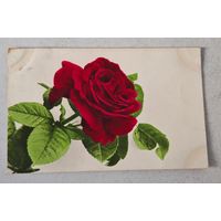 1908 год Либава    Открытка