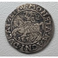 Полугрош 1556 Сигизмунд Август