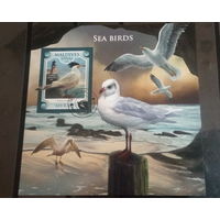 ЛИСТ ФАУНА ПТИЦЫ  СТО