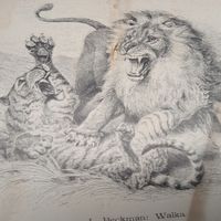 Гравюра энциклопедическая Германия конец19в.        29 х 21см.