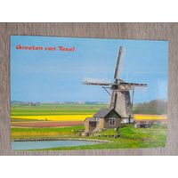 Мельницы. Texel