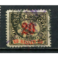 Босния и Герцеговина (Австро-венгерская администрация) - 1904 - Цифры 20H. Portomarken - [Mi.11p] - 1 марка. Гашеная.  (Лот 6JC)-TG3P59