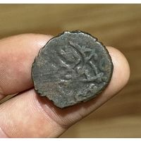 Фельс Тимуридов (5)