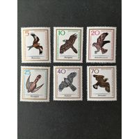 ГДР 1965 Полная серия марок "Хищные птицы Европы" (чистые**) Mi.1147-1152 каталог 6.00 евро