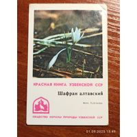 Календарик Красная книга 1982 Шафран алтавский