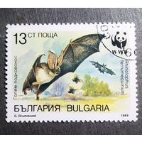 Марка Болгария 1989 год Летучая мышь