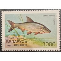 Беларусь 1997. Редкие виды рыб. Рыбец. Марка из серии