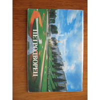 Петродворец