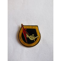 Значок. Знак. "Китайская Тайбэйский ассоциация гимнастики". "Китай". "Гимнастика". "Спорт". м