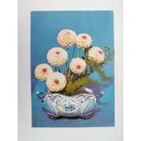 Цветы. Чистая. 1992 года. Суханова. 2605.