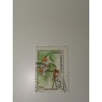 Турция 1990г.  "Нарцисс букетный"