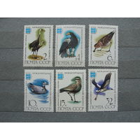 Продажа коллекции с 1 рубля! Чистые почтовые марки СССР в коллекционном** состоянии.