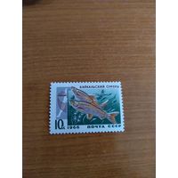 1966 СССР фауна рыбы (сф2-4)