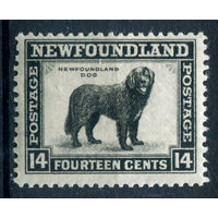 Британские колонии - Ньюфаундленд - 1932/41г. - ньюфаундленд, перфорация 12 1/2, 14 с - 1 марка - MNH, на клее есть несколько небольших полосок-трещинок [Mi 179 C]. #3-WB-96-A-1
