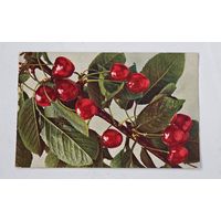 1909 год Либава  Открытка