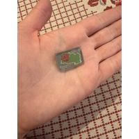 Витебская область ЗНАЧОК С РУБЛЯ