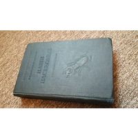 Наши насекомые 1940