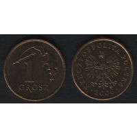 Польша y276 1 грош 2006 год (mw) (_alb2