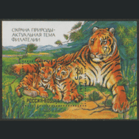 РФ. СК. БЛОК 1. 1992. Тигрица с тигрятами. ГаШ.