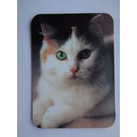Календарик 2000 г. Кошка.