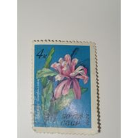 Марка СССР 1971 год Цветы