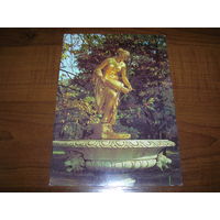 Петродворец Фонтан Данаида 1987 год чистая