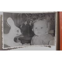 Фото в коллекцию