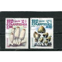 Кампучия. Грибы