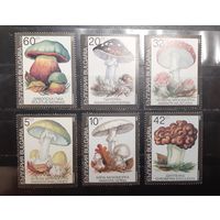Болгария. 1990 год. Флора. Грибы (972)