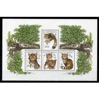 Европейская дикая кошка Словакия 2003 год 1 блок