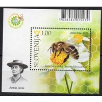 Словения 2018. Фауна пчела блок