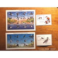 Марки РБ. Утки + болотные птицы 2 м/л+2 блока 1996г с 1 рубля без мин.