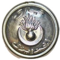 Алжир. Мундирная пуговица. 25 мм