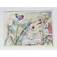 Жебелева 1988 С новым годом