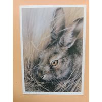 Открытка Исаков 1989