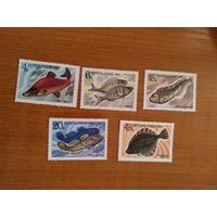 1983 СССР Загорский 5346-5350 фауна моря рыбы чистая полная серия MNH** (с-2)
