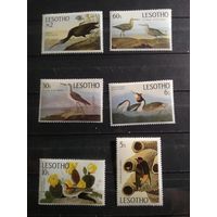 Лесото 1985 г. Птицы.