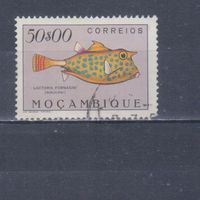 [511] Португальский Мозамбик 1951. Фауна.Рыба.50 э. Концовка серии. Гашеная марка. Кат.гаш.15 е.