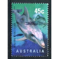 Австралия - 1998г. - морская фауна - 1 марка - гашёная. #3-WB-91-A-1